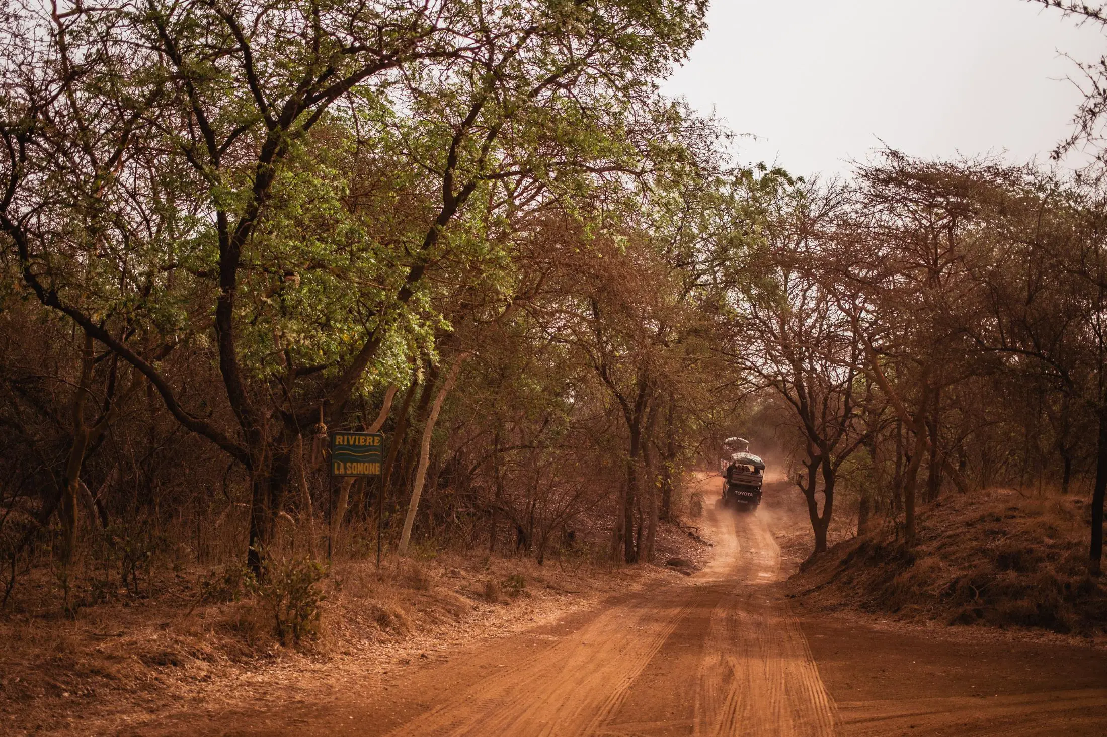 Safari en la Reserva de Bandia en Senegal