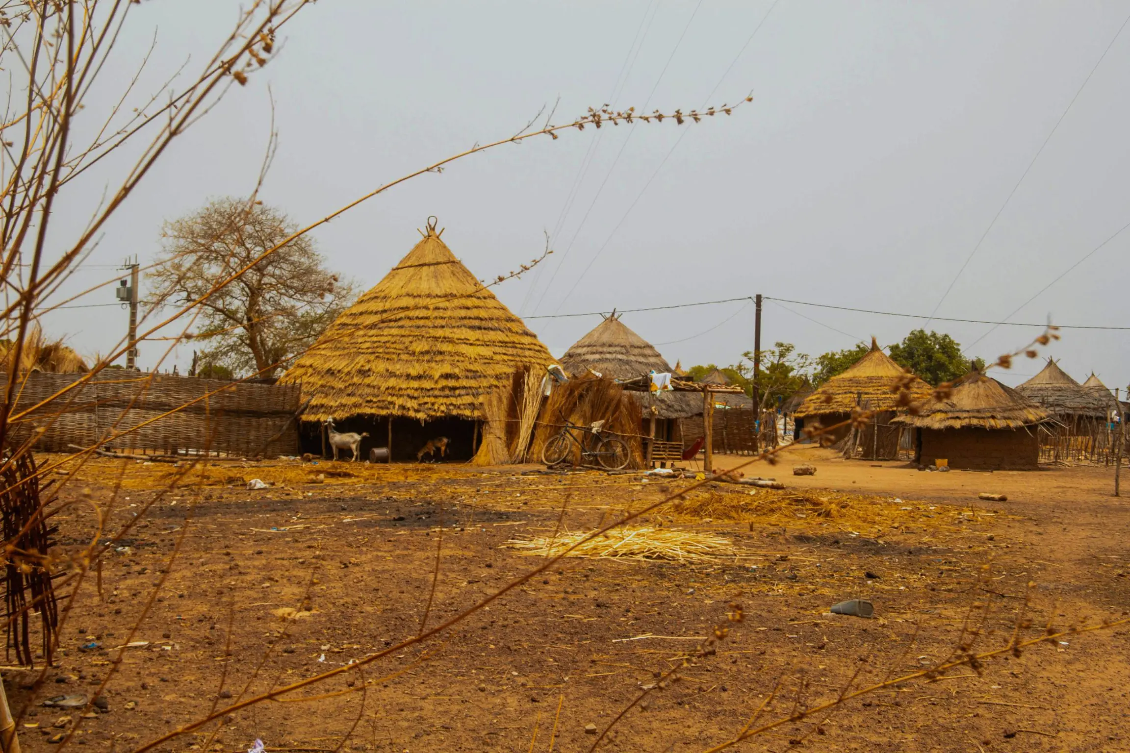 Casas tradicionales en el Pais Bassari (Senegal)