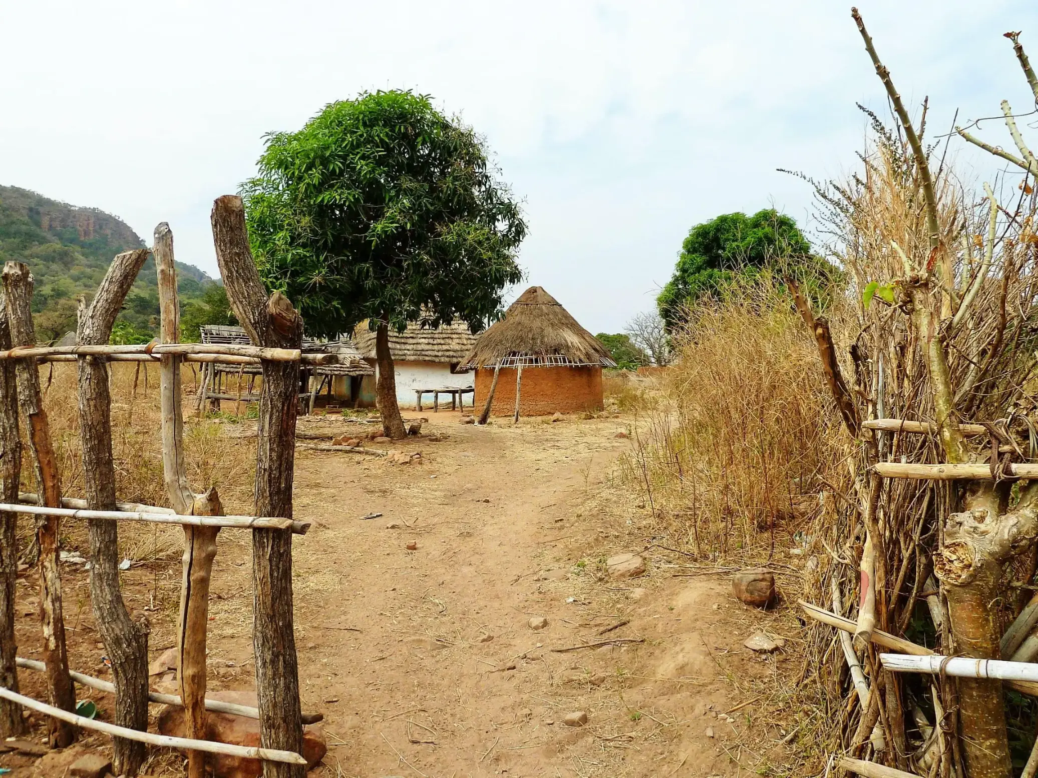 Pais Bassari (Senegal)