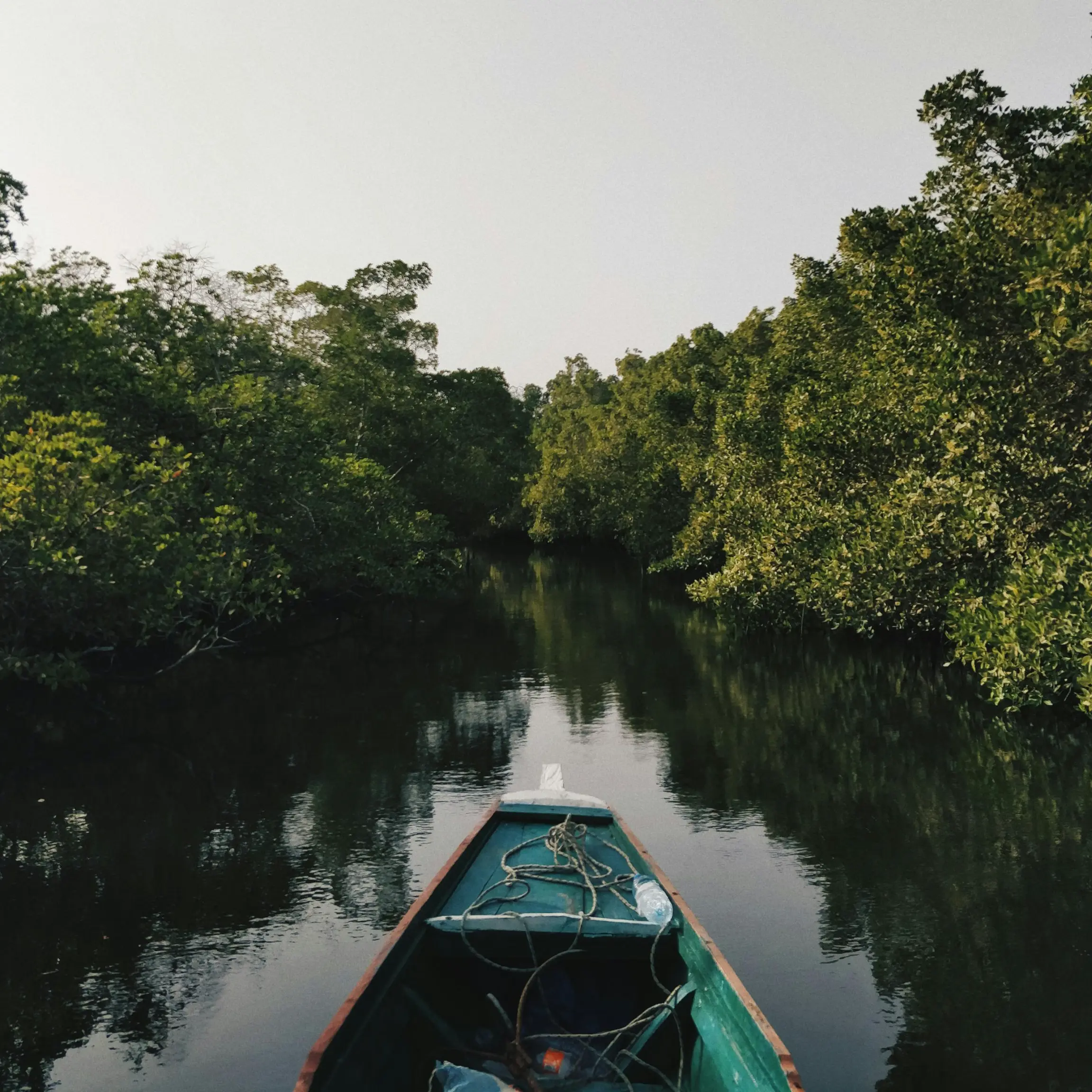 Bolongs y manglares del Sine-Saloum