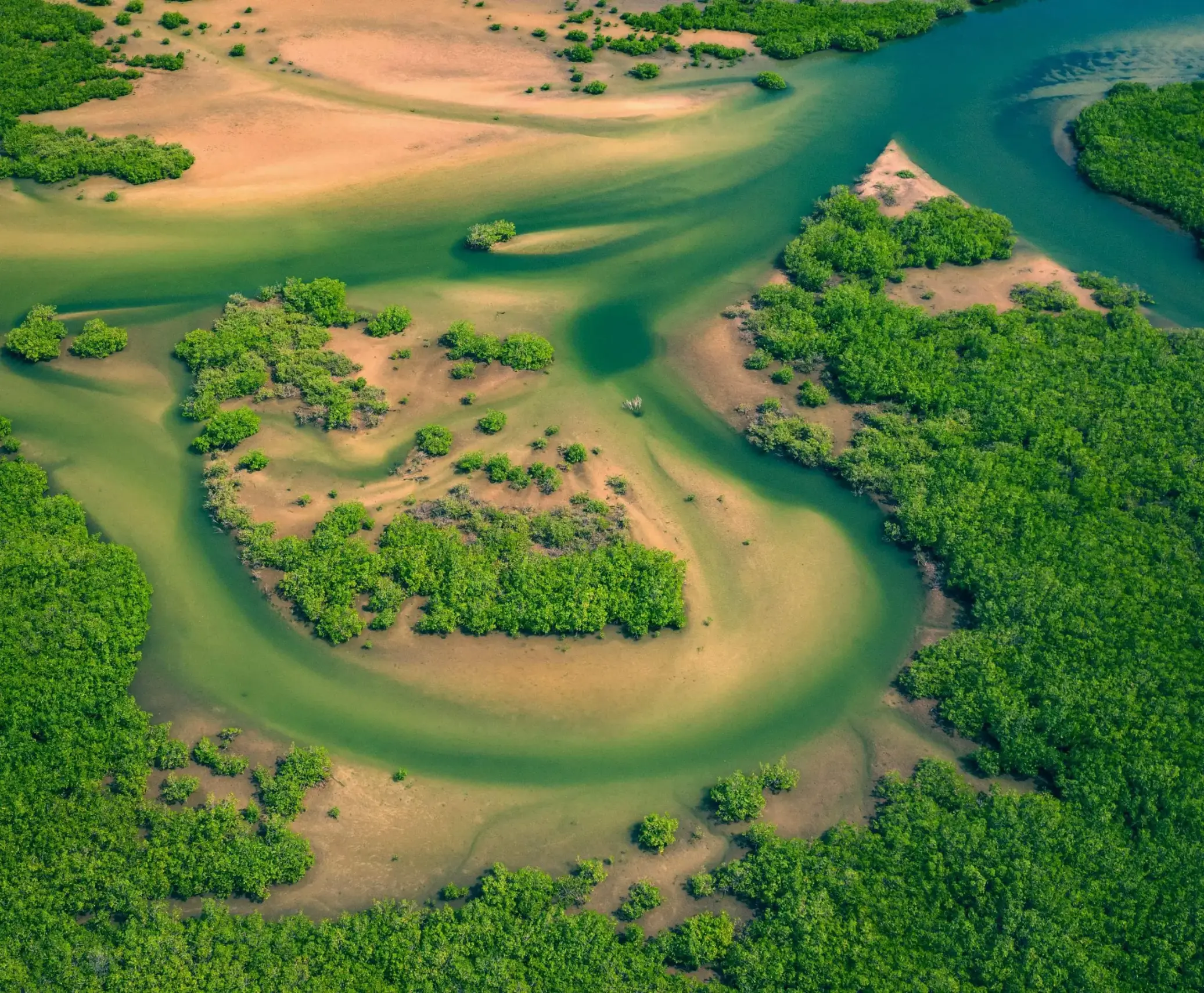 Bolongs y manglares del Sine-Saloum