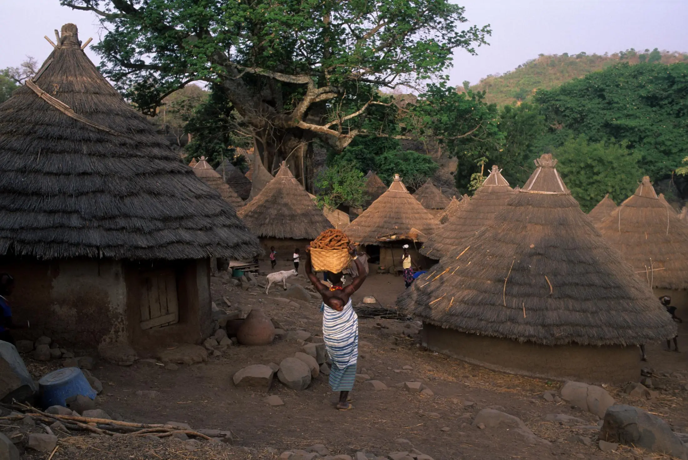 Pueblo tradicional en Tambacounda (Pais Bassari Senegal)