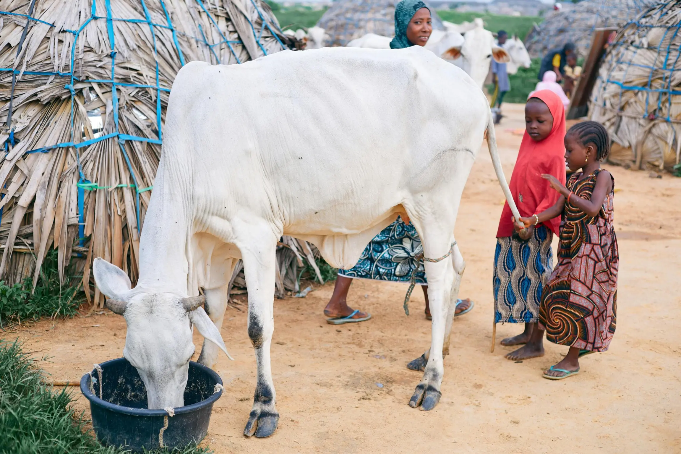 Aldea en Tambacounda (Senegal)